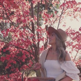 AOR Autumn Tree scaled uai