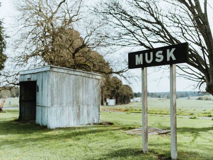 AshElm Studios Musk and surronds 1 Musk Station uai