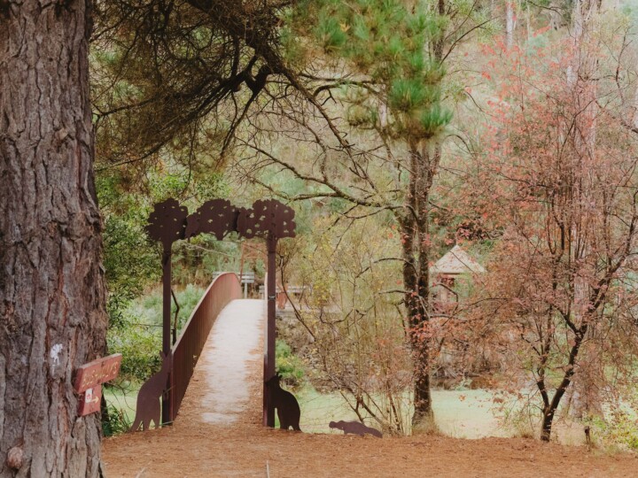 Blackwood ChloeSmithPhotography 009 uai