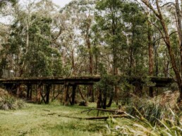 CamelsHumpDominoTrail ClairDerwortPhoto 56 uai