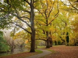 Campaspe River Walk uai
