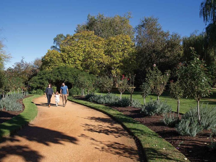 Castlemaine Botanical Gardens2 uai