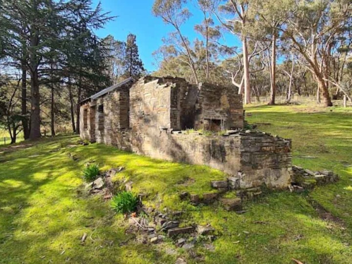 Castlemaine Diggings Darren M uai