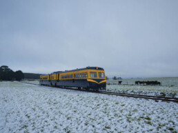 Catch a train 3 1 uai
