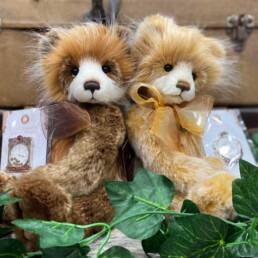 Charlie Bears 7 uai