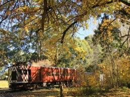 Daylesford Spa Country Railway 2 uai
