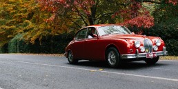 DMRT 0319 CAR RALLY IN AUTUMN MT MACEDON 14 MH 2015 uai