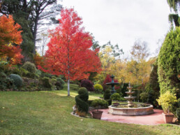 Forest Glade Gardens 6 uai