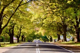 Glenlyon Village Market 1 uai