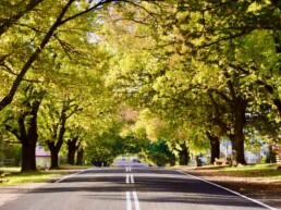 Glenlyon Village Market 1 uai