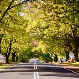 Glenlyon Village Market 1 uai