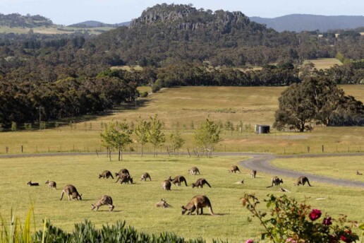 Hanging Rock Views 1 uai