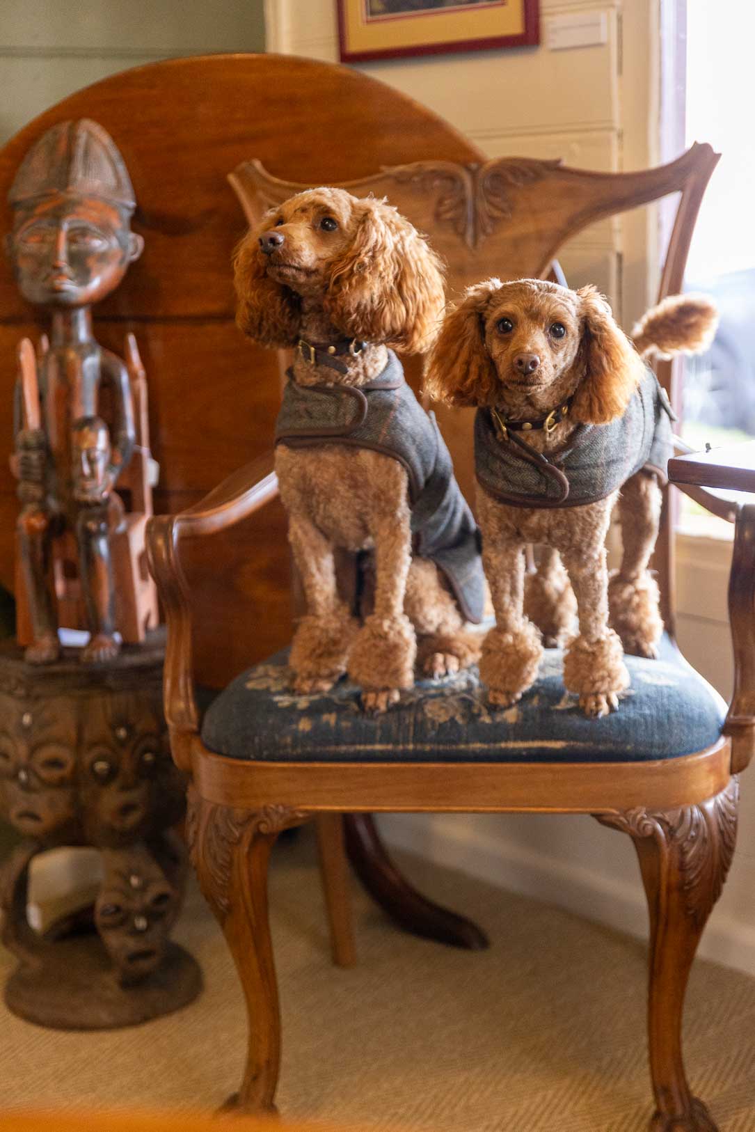 The House of Marcelle & Mr. John