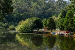 JUBILEE LAKE uai