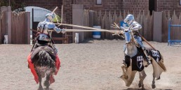 Kryal Castle 15 uai