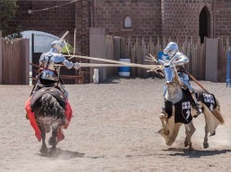 Kryal Castle 15 uai