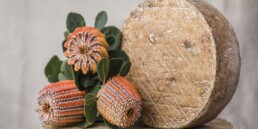 longpaddockherobanksia 3168 hires uai