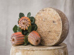 longpaddockherobanksia 3168 hires uai
