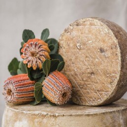 longpaddockherobanksia 3168 hires uai