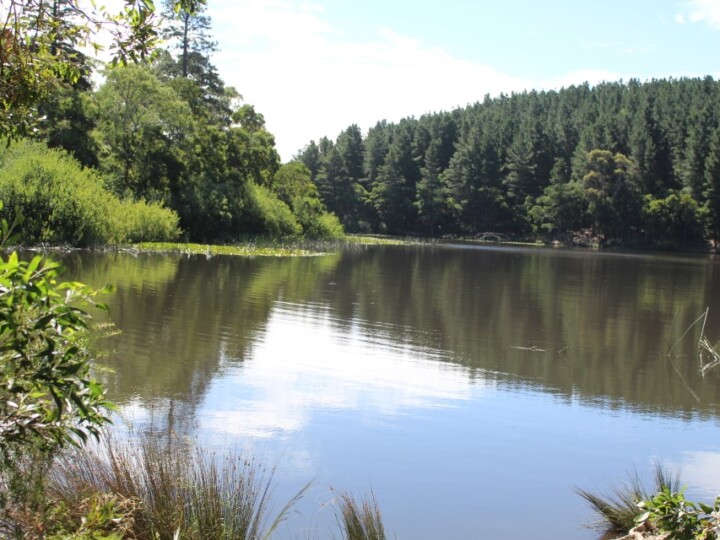 Macedon Reservoir uai