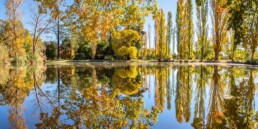 malmsbury botanic gardens 2 Joel Bramley uai