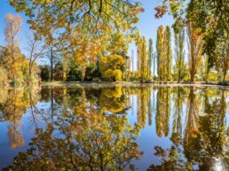 malmsbury botanic gardens 2 Joel Bramley uai