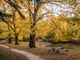 Malmsbury Botanical gardens uai