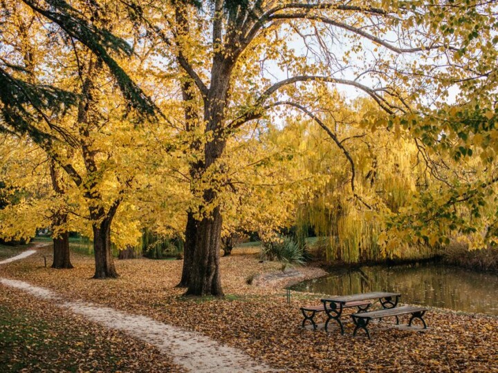 Malmsbury Botanical gardens uai