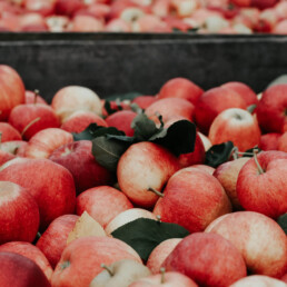 MARKET apples 2 uai