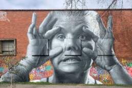 Mill Castlemaine Damien Mitchell mural Sept 2022 uai