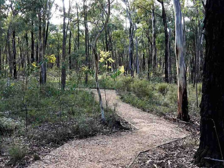 Paddys Range State Park Parks Pic uai