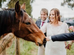 Quirindi Stables