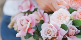 Roses 2 uai