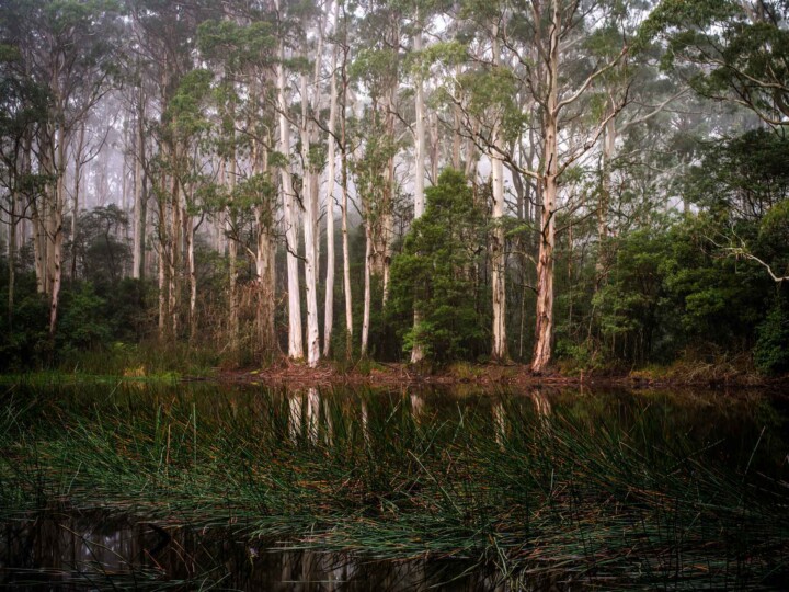 Sanatorium Lake atop Mount Macedon