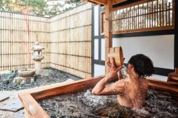 Shizuka Ryokan 45 Shizuka Ryokan uai