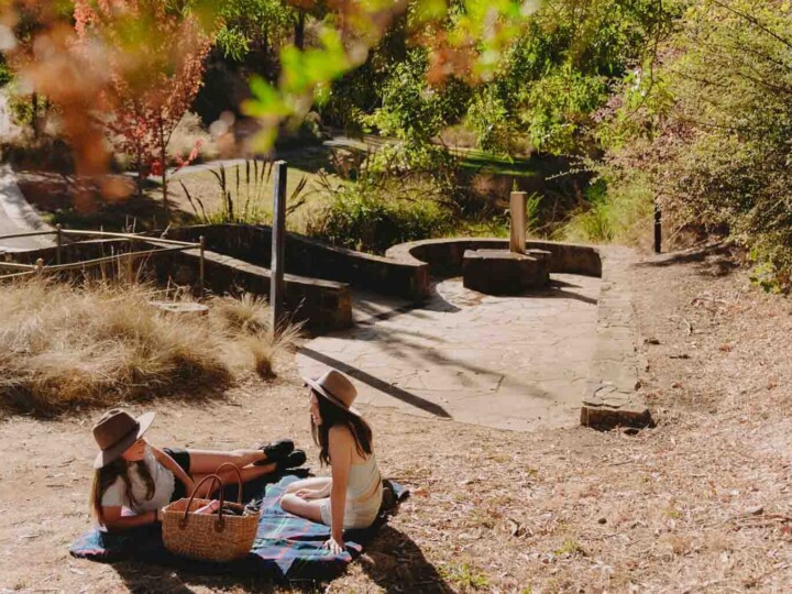 Hepburn Mineral Springs Reserve. Photo by Chloe Smith Photography