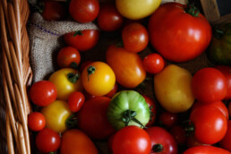 tomatoes 2 uai