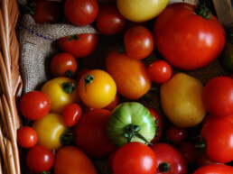 tomatoes 2 uai