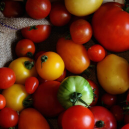 tomatoes 2 uai