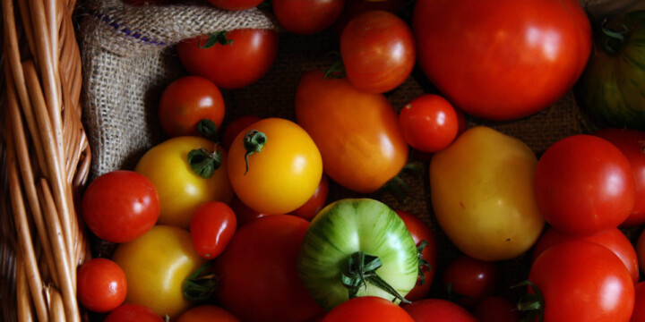 tomatoes 2 uai