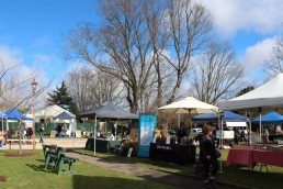 Trentham Market 1 2 uai