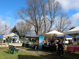 Trentham Market 1 2 uai