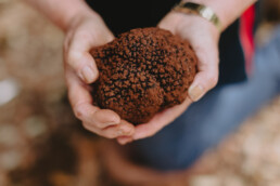 TruffleTreasures ChloeSmithPhotography 0041 uai