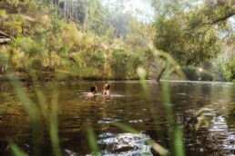 Vaughan Springs Ben Savage 157073 56 uai