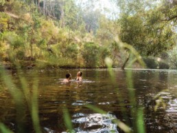 Vaughan Springs Ben Savage 157073 56 uai