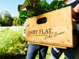 Visit Vic TA Dairy Flat photo LVDI 6 uai