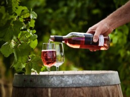 West to East Wine Itinerary uai