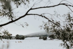 WinterDMRT ChloeSmithPhotography 0014 uai