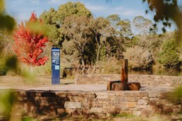 WombatFlat ChloeSmithPhotography 116 2 uai